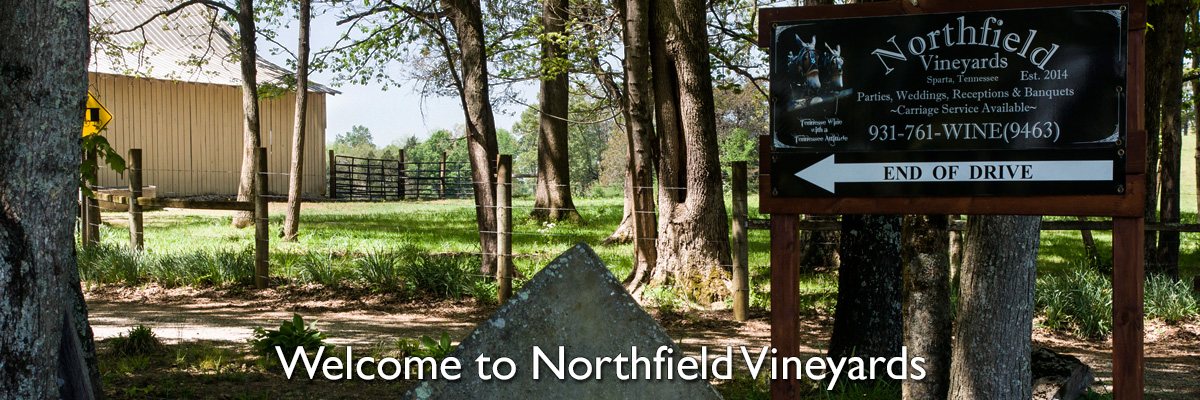 Welcome to Northfield Vineyards